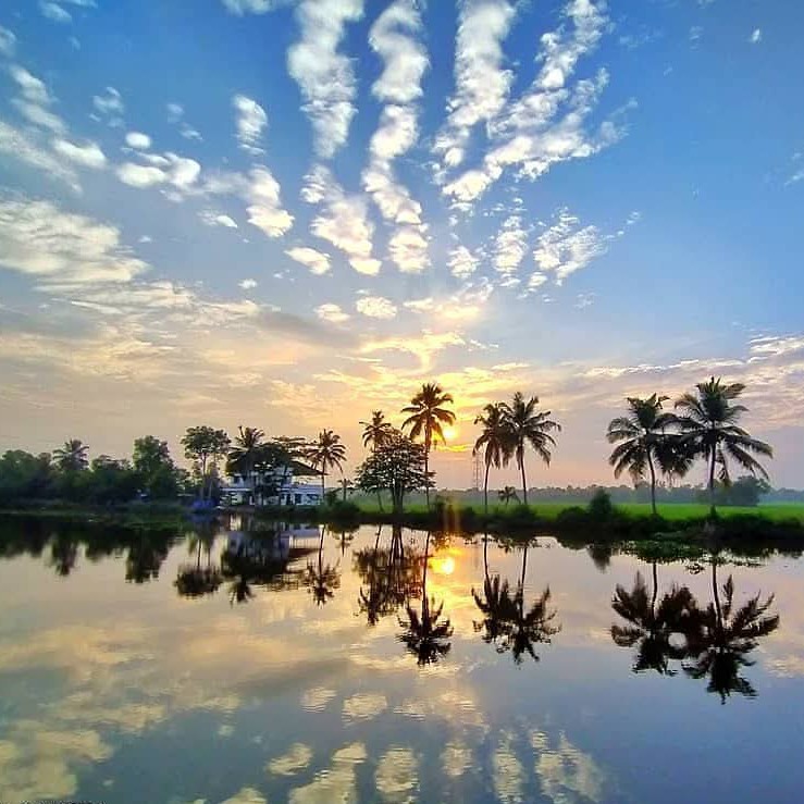 Spiritual Water Pilgrimage - Shikkara Boat Tour in Alappuzha Backwaters